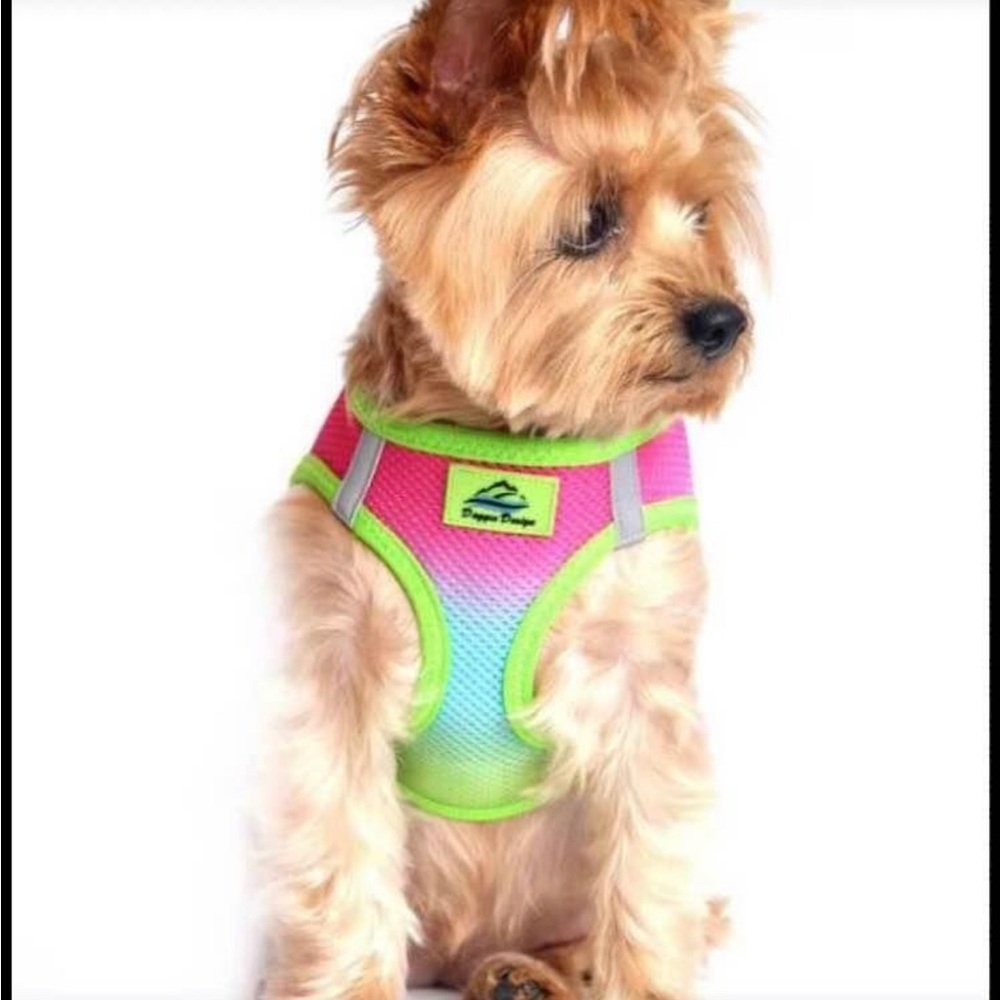NWOT American River Rainbow Ombre Dog Harness Size XL